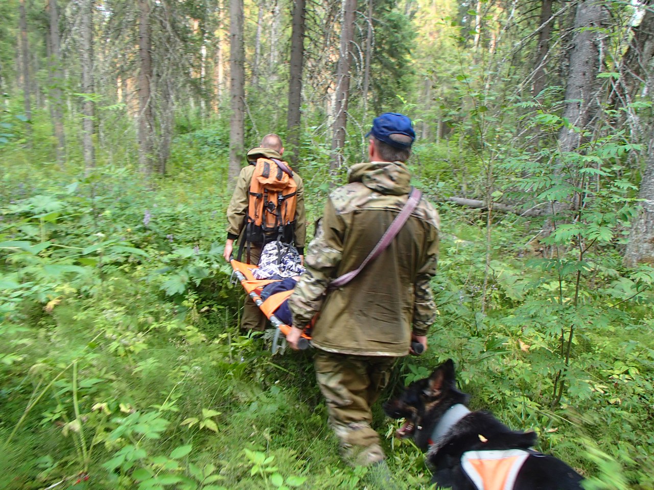 Спасатели ищут людей в лесу