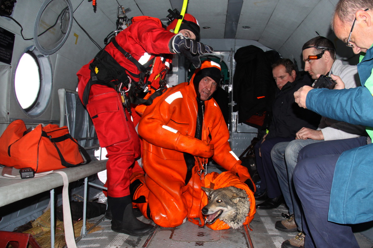 Спасательная операция. Спасатели Архангельской областной службы спасения. Спасатели в Гренландии. За спасение в спасательных операциях.