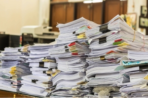 В Архангельской области  за шесть месяцев текущего года исполнено 215 решений судов, принятых по заявлениям прокуроров