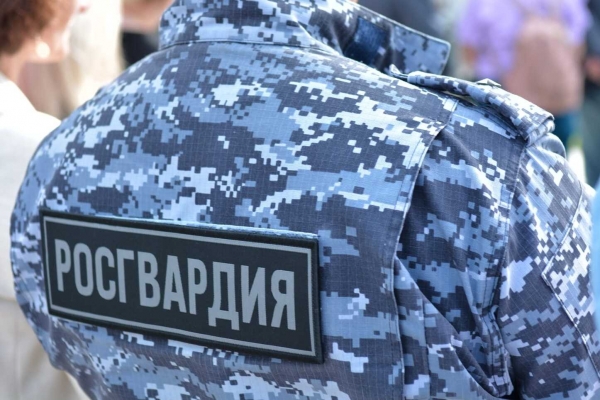 В Коряжме наряд Росгвардии задержал женщину, осужденную за неуплату алиментов