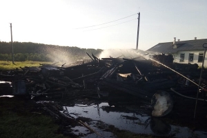 Пожар в фельдшерско-акушерском пункте тушат в Плесецком районе