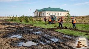 В Архангельской области по иску природоохранного прокурора загрязненный земельный участок будет восстановлен