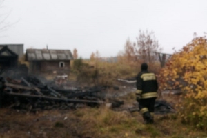 Два нежилых дома сгорело в Усть-Пинеге (Холмогорский район)