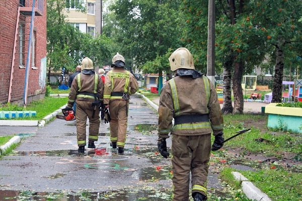 Архангельские пожарные спилили аварийные тополя у школы в Соломбале