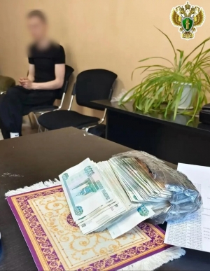 В Коряжме вынесен приговор жителю Московской области, который обманным путем завладел деньгами пенсионерки