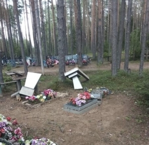 Трое подростков Устьянского района обвиняются в уничтожении и повреждении мест захоронения