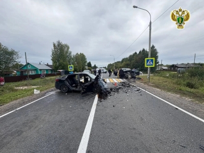 В Вельске вынесен приговор по уголовному делу о смертельном ДТП