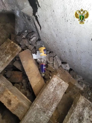 В Пинежском районе вынесен приговор по делу о вовлечении несовершеннолетнего в распитие спиртных напитков