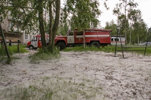 В Архангельске и области - пожары из-за тополиного пуха