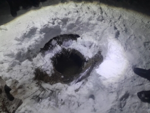 В Холмогорском районе перед судом предстанет руководитель ресурсоснабжающей организации, обвиняемый в причинении смерти по неосторожности вследствие ненадлежащего исполнения своих профессиональных обязанностей