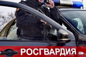 Результаты работы за неделю подразделений Росгвардии в Архангельской области