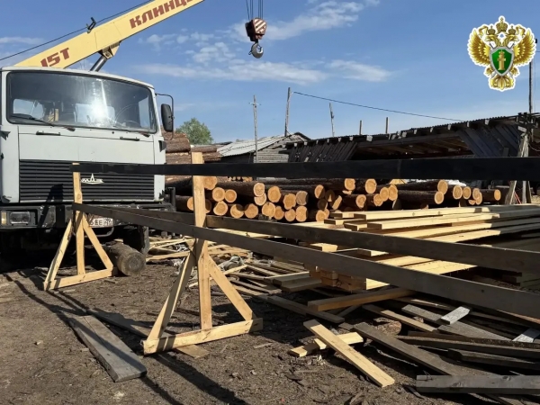Архангельской природоохранной прокуратурой приняты меры к устранению нарушений законодательства о лесопользовании при обустройстве складов древесины