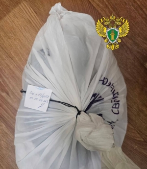 Прокуратурой поддержано ходатайство о заключении под стражу лица, планировавшего наладить незаконный сбыт наркотического средства