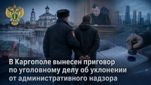 В Каргополе вынесен приговор по уголовному делу об уклонении от административного надзора