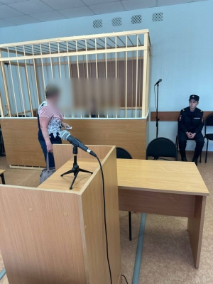 Жительница г. Новодвинска признана виновной в покушении на убийство двоюродного брата