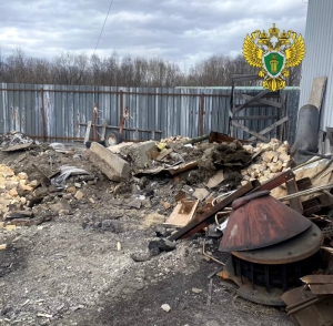 По результатам прокурорской проверки генеральный директор ООО «Ава Сервис» привлечен к административной ответственности за нарушение законодательства в области обеспечения санитарно-эпидемиологического благополучия населения