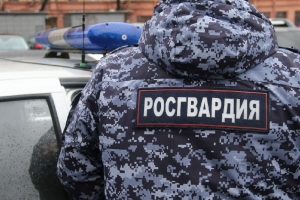В Новодвинске сотрудники Росгвардии вместе с участковым задержали скрывавшегося от полиции рецидивиста