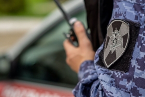 В Северодвинске сотрудники Росгвардии задержали объявленного в розыск уроженца Холмогорского округа