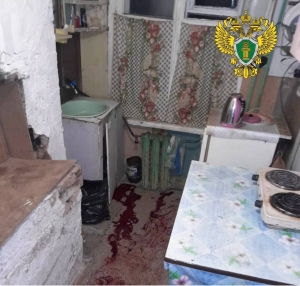 Житель ст. Паленьга Холмогорского района обвиняется  в покушении на убийство инвалида