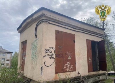 Вступил в законную силу приговор по уголовному делу в отношении сотрудника производственного отделения «Архангельские электрические сети» за совершение халатности, повлекшей по неосторожности смерть малолетнего