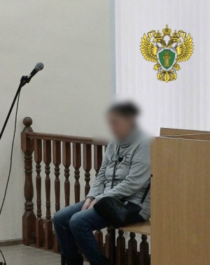 Жительница Лешуконского района признана виновной в причинении смерти по неосторожности двум лицам