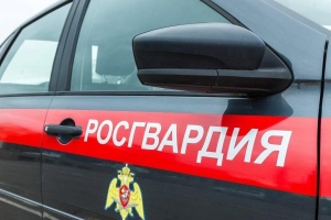 В Архангельске наряд Росгвардии задержал двух подозреваемых в краже товара из продуктового магазина