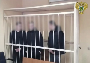 Трое жителей г. Каргополя осуждены за жестокое избиение мужчины, который скончался