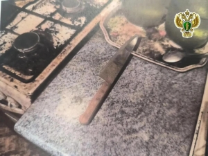 Житель Северодвинска осужден за убийство брата