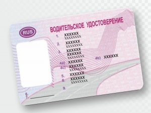 Житель г. Шенкурска предстанет перед судом по обвинению в покушении на дачу взятки должностному лицу и в приобретении поддельного документа
