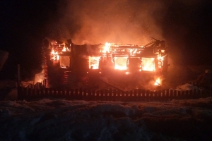 Четыре человека спаслись при пожаре в жилом доме (Каргопольский район)