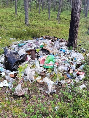 Органами прокуратуры организована проверка по фактам размещения несанкционированных свалок отходов на о. Мудьюг