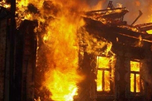 В Каргопольском районе в огне погибла женщина