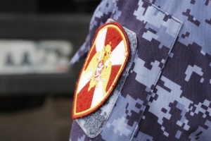 Няндомские росгвардейцы задержали скрывавшегося от правосудия мужчину