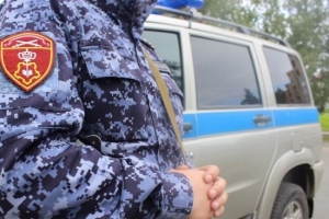 В Архангельской области сотрудники вневедомственной охраны Росгвардии задержали разыскиваемый автомобиль