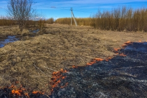 С начала апреля в Архангельской области произошло более 130 травяных пожаров