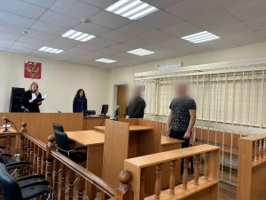 В Архангельске вынесен приговор по уголовному делу о мошенничестве в крупном размере при получении гранта
