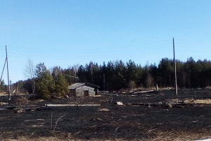 Количество пожаров за день в Архангельской области уже перевалило за 30