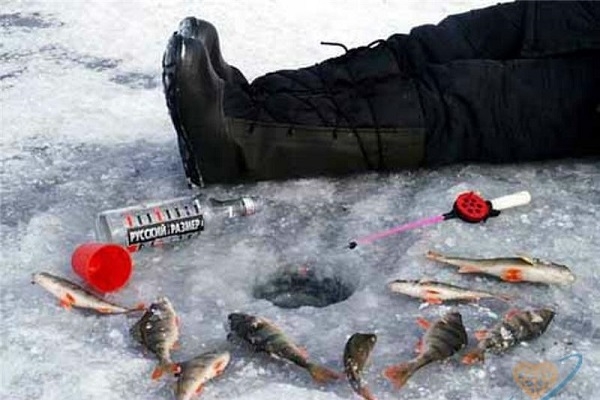 Рыбаку не дали поспать на льду Северной Двины