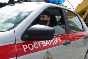 В Архангельске сотрудники Росгвардии задержали мужчину, укравшего алкоголь в магазине
