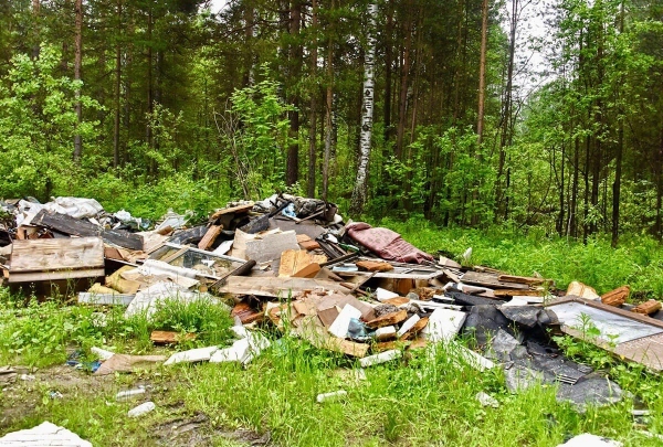 По иску Котласского межрайонного прокурора суд обязал министерство природных ресурсов и лесопромышленного комплекса очистить участки лесного фонда от несанкционированных свалок отходов