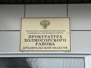 Прокуратурой проводится проверка по факту происшествия с воспитанниками детского лагеря в Холмогорском районе