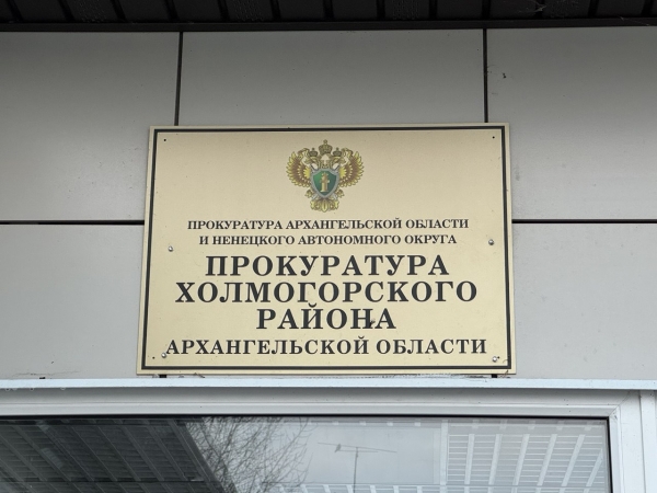 Прокуратурой проводится проверка по факту происшествия с воспитанниками детского лагеря в Холмогорском районе
