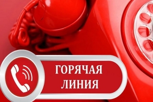 В прокуратуре Архангельской области открыта  «горячая линия» по вопросам оплаты труда