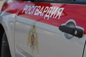 Росгвардейцы в Новодвинске задержали разыскиваемого гражданина
