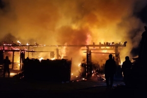 Добровольцы принимают участие в тушении пожара в Вельском районе