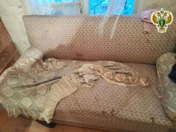 Житель Мезенского муниципального округа признан виновным в причинении тяжкого вреда здоровью сожительнице