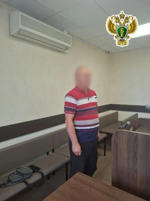 В Пинежском районе врач центральной районной больницы осужден за мошенничество