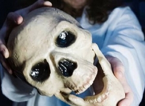 Идеи необычного дня рождения: что выбрать вместо кафе, аниматоров и привычных поздравлений