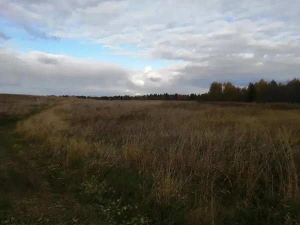 В судебном порядке прокуратура Архангельской области и Ненецкого автономного округа добилась возвращения в муниципальную собственность двух земельных участков, площадью 1 242 кв. м