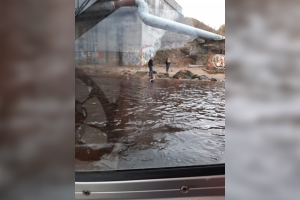 Ссора закончилась попыткой суицида: с Кузнечевского моста прыгнули в воду двое молодых людей